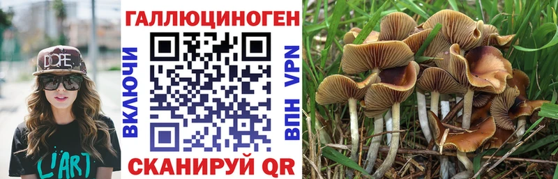 магазин продажи наркотиков  Нальчик  Галлюциногенные грибы Magic Shrooms 